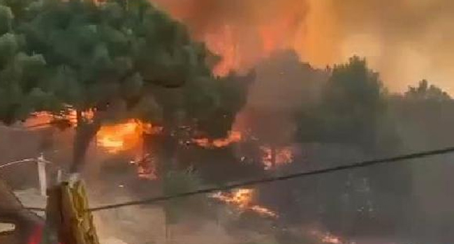 İstanbul Maltepe’de Yangın