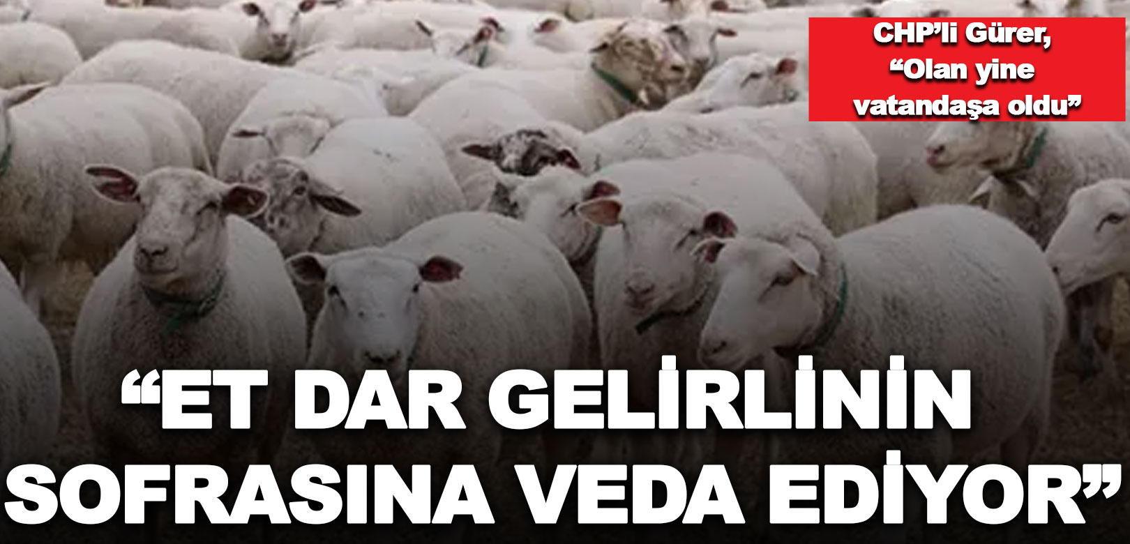 CHP’li Gürer: Et dar gelirlilerin sofrasına veda ediyor